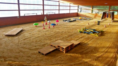Ein Beispiel unserer vielseitigen Trainingsutensilien