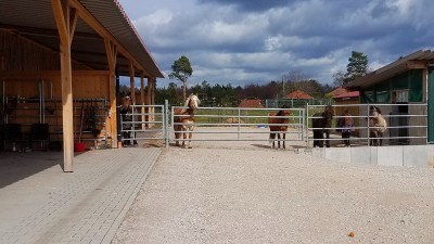Der obere Teil unseres Paddocks