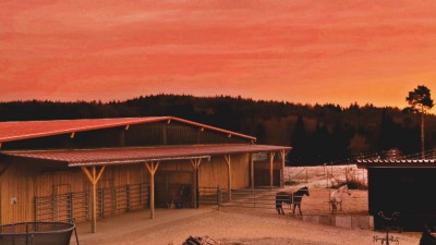 Sonnenaufgang im Stall