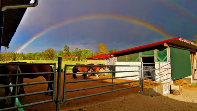 Nach dem Gewitter