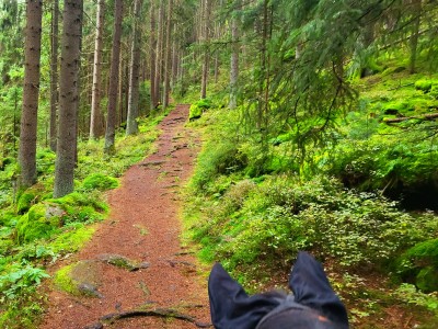 Traumhafte Wege