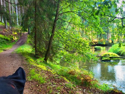 Waldnaab