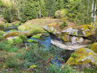 Tirschenreuther-Waldnaab