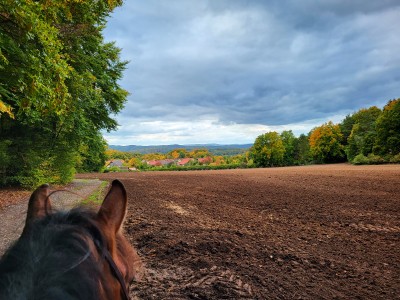 Aussicht genießen