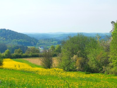 Fernblicke