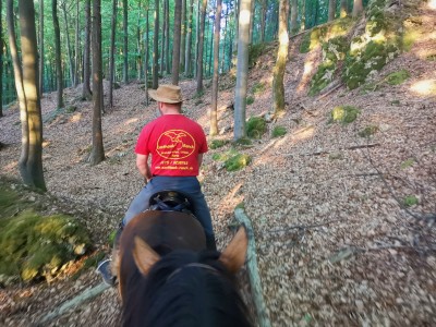 Felsenpfade