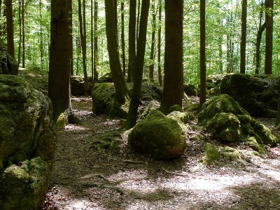 Druidenhain