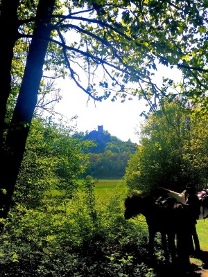 Wanderritt durch die Fränkische Schweiz